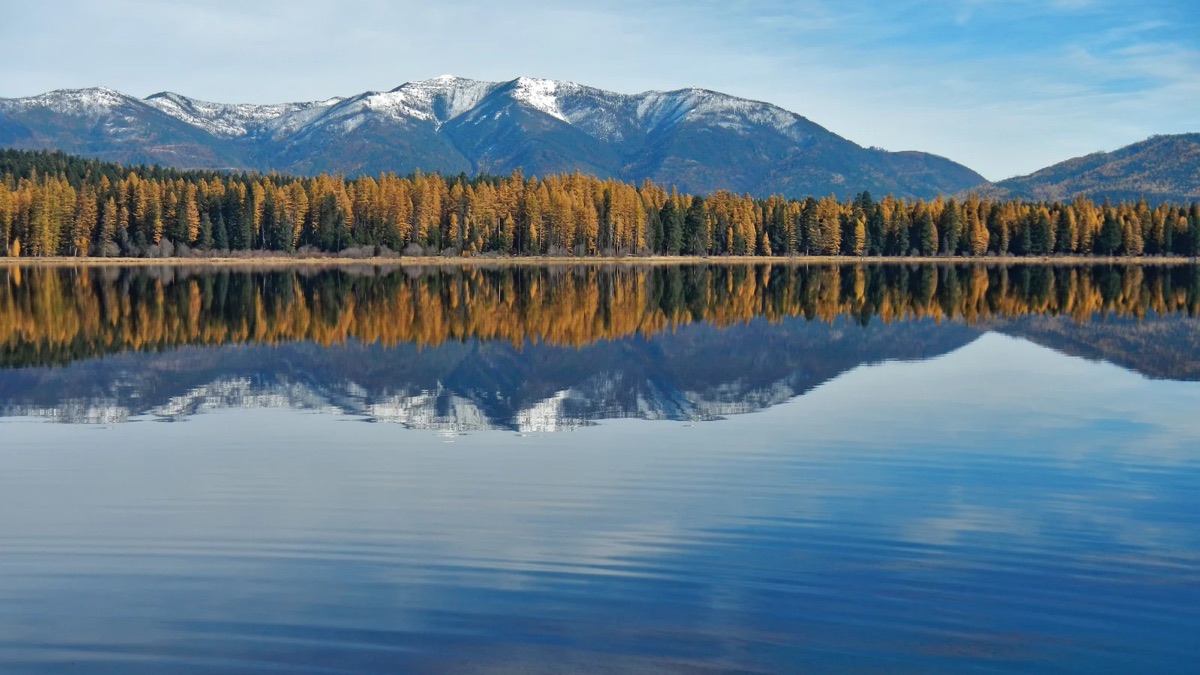 Mountain View Lodging, Seeley Lake, Montana